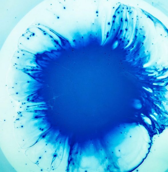 Picture of Anastasia_Risbecia